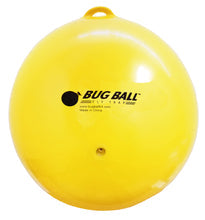 Bug Ball Gnat Ball Starter Kit
