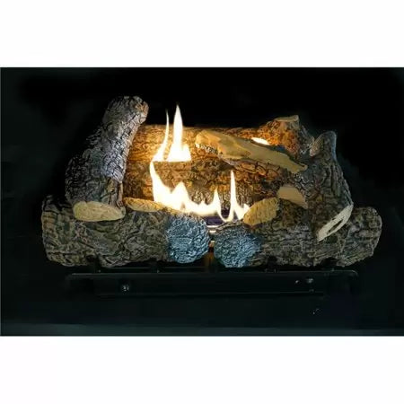 Empire 24 in. Natural Gas Millivolt Fireplace (24