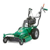 BRUSHCUTTER BILLY GOAT