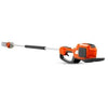 Chainsaw Polesaw