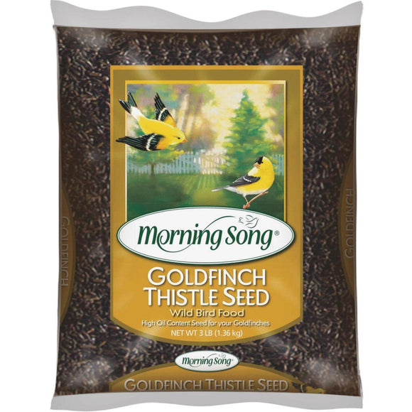 Morning Song 3 Lb. Nyjer Seed Wild Goldfinch Food