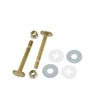 Black Swan Mfg 12015 Pk Jr 5/16 Brass Bolts