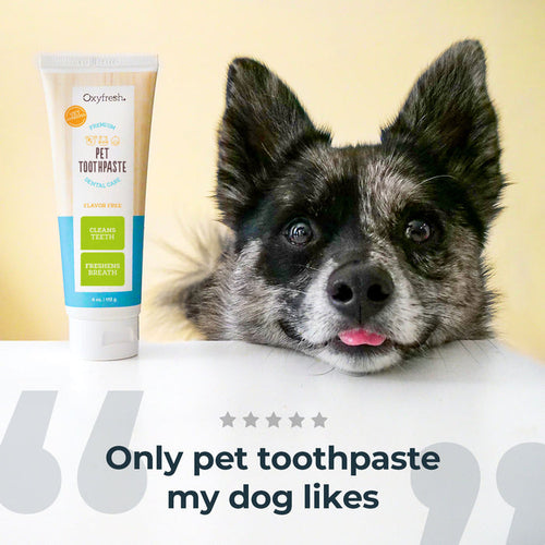 Oxyfresh Premium Pet Toothpaste | Best Way To Clean Pet Teeth & Remove Plaque