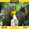 Harris Sea Salt 10X Weed & Grass Killer Spray