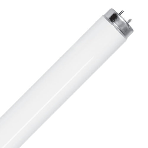 Feit Electric F32T8-950-2 32W 4 ft T8 G13 5000K Linear Fluorescent Lamp
