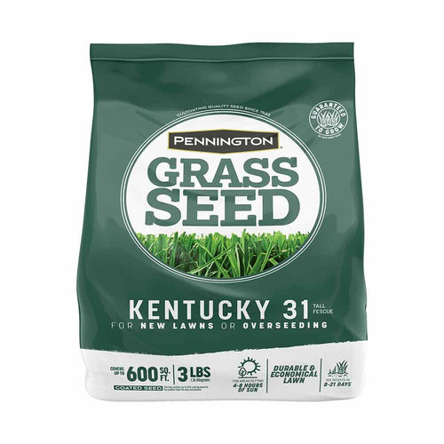 Pennington Kentucky 31 Tall Fescue Grass Seed