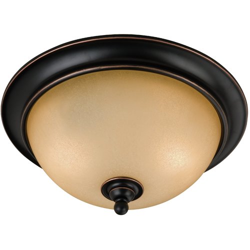 Hardware House 12-7479 Dover Series 2-Light Ceiling Light