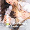 Oxyfresh Premium Pet Dental Spray - Fastest Way to Eliminate Pet Bad Breath