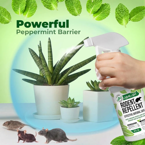 Mighty Mint Peppermint Oil Rodent Repellent Spray