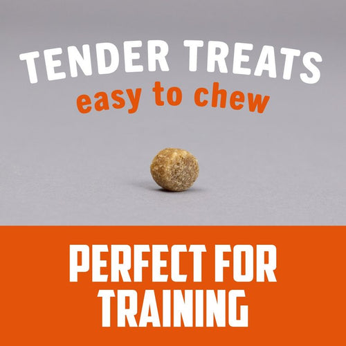 Sportsman's Pride Field Master Perfect Partner™ Training Treats for Dogs