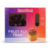JT Eaton ZendoZones Succulent Fruit Fly Trap – Mellow Molly Design with Terracotta Base