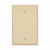 Eaton Cooper Wiring Blank Wallplate  Box Mount, Ivory