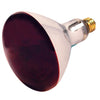 Satco Incandescent Heat Lamp 250 W
